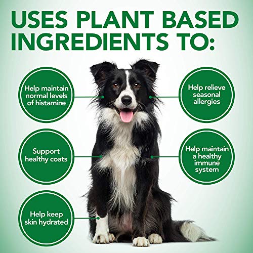 Vets-Best-Healthy-Coat-Shed-Itch-Relief-Dog-Supplements-Relieve-Dogs-Skin-Irritation-and-Shedding-Due-to-Seasonal-Allergies-or-Dermatitis-150-Chewable-Tablets-White-150-Count-Pack-of-1 - Cucciolini Doodles   Vets-Best-Healthy-Coat-Shed-Itch-Relief-Dog-Supplements-Relieve-Dogs-Skin-Irritation-and-Shedding-Due-to-Seasonal-Allergies-or-Dermatitis-150-Chewable-Tablets-White-150-Count-Pack-of-1