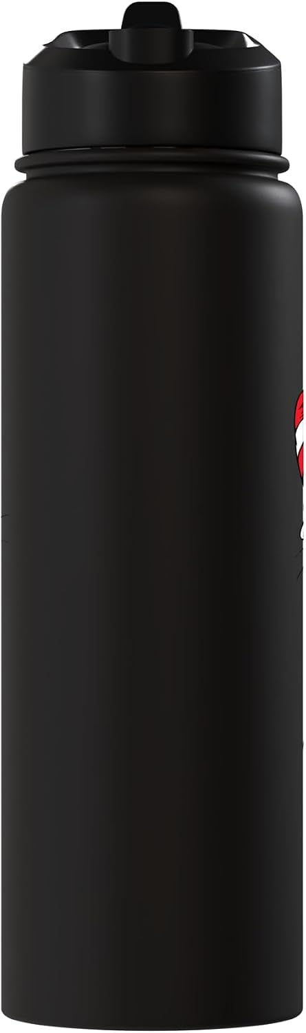 Dr. Seuss The Cat in the Hat Stainless Steel Insulated Water Bottle