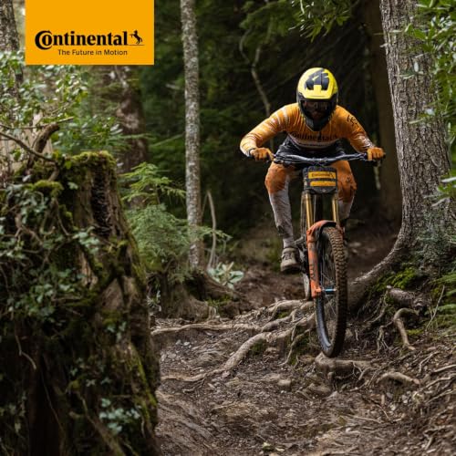 Continental MTB 29 Inch Inner Tubes 2-Pack