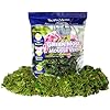 SuperMoss 100533146 Green Moss Preserved 24Qt, White