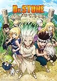 Dr.STONE STONE WARS(