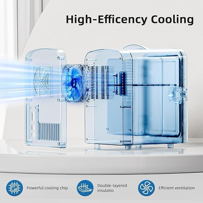 Compact Refrigerator, Portable Mini Fridge, Skin Care 4L/6 Cans, for Bedroom, Car, Office & Dorm, Small Cooler for Cosmetics, Beverage and Food, Black