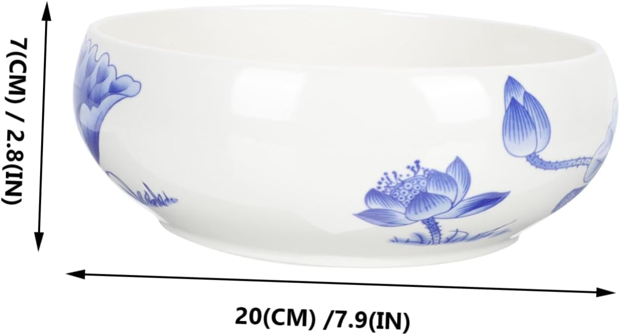 Toddmomy Hydroponic Plant Pot Blue and White Porcelain Succulent Dish Ceramic Flowerpot for Home Office Decoration 10 Inch Indoor Planter Drainage