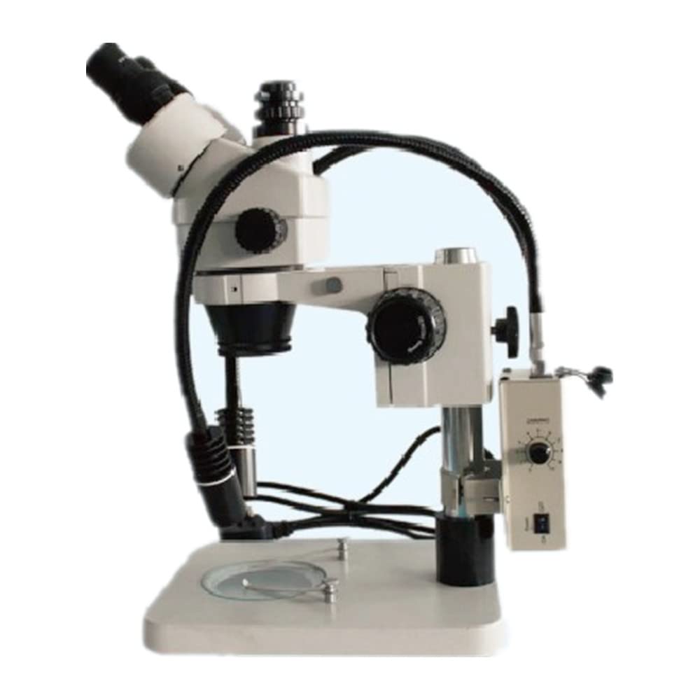 Kit De Accesorios para Microscopio con Foco Led De Doble Cuello De Cisne para Microscopio Estereoscópico Y Portaobjetos De Microscopio De Diámetro Normal De 25