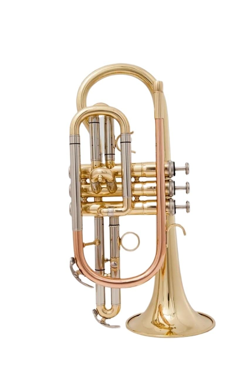 początkujących trąbka Bb Kornet Trąbka Mosiężna Międzynarodowy Instrument Muzyczny Z Futerałem Trąbka Instrument Dla Początkujących(Light Grey)