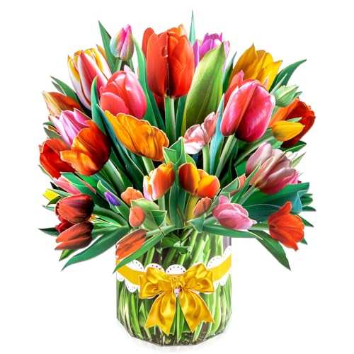 `[bv̑傫ȃ|bvAbvA13C` t[u[P O[eBOJ[hA󔒂̃m[gJ[hƕtBAxAaALOAʂȏuԁAo^Cf[ĵɗzIȃMtgł