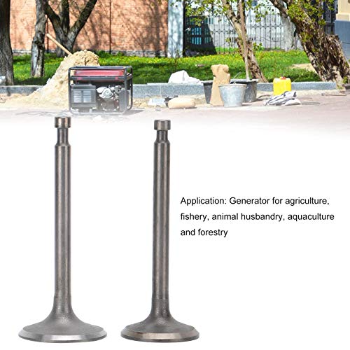 banapoy Válvulas de escape de admissão do gerador, válvula geradora de resistência à corrosão firme
