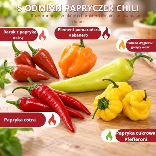 CULTIVEA® Mini – Grow your own – zestaw do uprawy – 100% nasiona bio – ogród i warzywa – pomysł na prezent (chili)