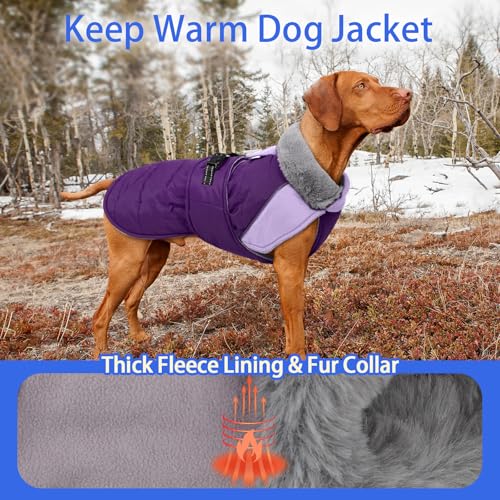 Image of MIGOHI Dog Winter Coat - Reflective Medium Dog Snow Jacket with Thick Turtleneck,Windproof Pet Fleece Vest, Cold Weather Coat for Medium Dogs, Snowproof for Hiking,Camping,L,Purple