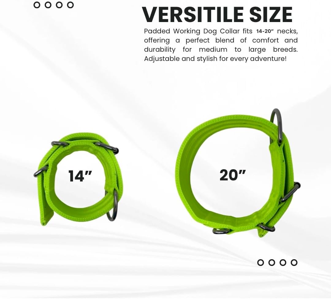 SparkDog 2” Working Dog Collar – Heavy Duty 4-Ply Nylon & Polyester Webbing, Stainless Steel Hardware, Tactical Style for Pitbulls, Medium & Large Dogs (14-20" (Lime Green, 2" Width)