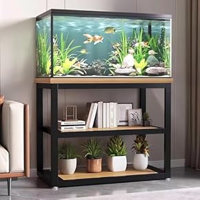 木製水槽棚(水槽15本セット)発送不可 水槽スタンド - Amazon.co.jp