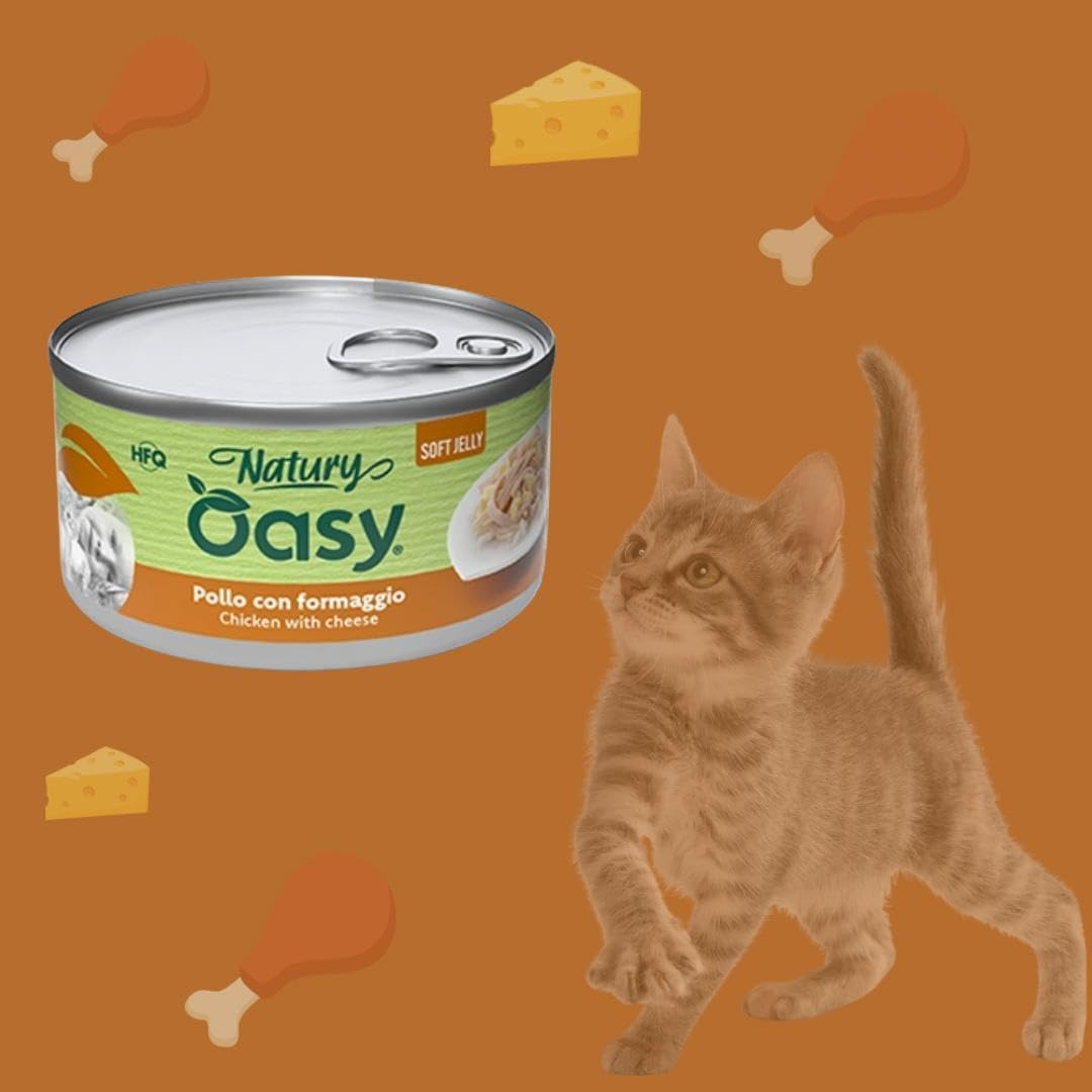 Oasy - Comida húmeda para gatos naturales con sabor a pollo con queso, suaves pelusas naturales de Soft Jelly para gatos adultos de todos los tamaños y razas | 24 latas de 85 gramos cada una.