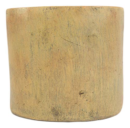 Ebros Wildlife Rustic Mountain Black Mama Bear With Cubs Family In Pine Trees Forest Bathroom Accent Figurine Accessories Western Country Cabin Lodge Decorative (Toothbrush And Toothpaste Holder) #TOP4