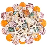 SKOOLOVE Natürliche Muscheln, Gemischte Meeresstrand-Muscheln, 15 Arten, 2-8 cm, Verschiedene Größen, Muschel und Seestern für Handarbeiten, Fischbecken, Strandthemen-Party, DIY, Heimdekoration