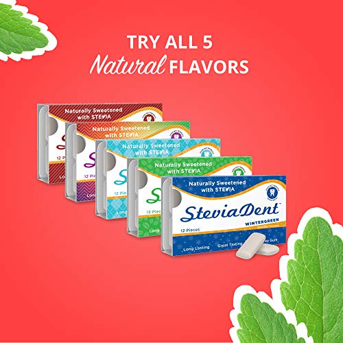 Stevita Stevia Dent Sugar-Free Gum - Natural Wintergreen Flavor (12 Pack) - 12 pieces - Supports Oral Health - Non GMO, Vegan, Keto, Gluten Free - 144 Servings