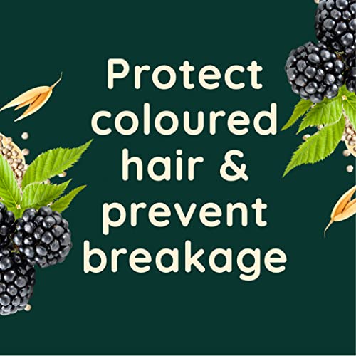Aveeno Colour Protect Blackberry and Quinoa Scalp Soothing Shampoo for Colour Treated Hair 300ml - Image 5