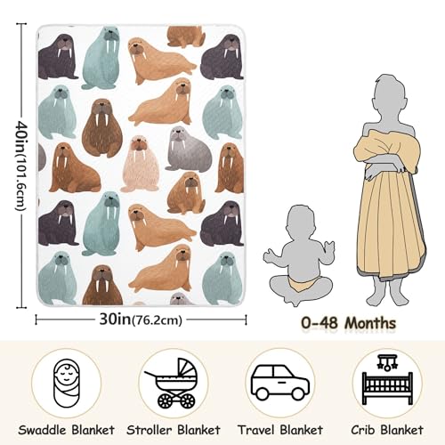 Image of Sea Cute Walrus Baby Blankets Soft Warm Crib Stroller Blanket for Toddler Newborn Girls Boys 30x40in