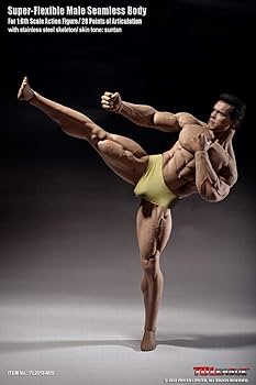 Amazon | HiPlay TBLeague 1/6スケール シームレス 男性