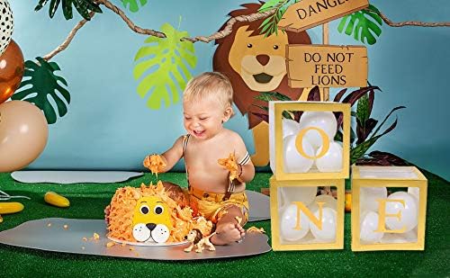 ONE Balloon Boxes for 1st Birthday Boy Decorations,Transparent Gold ONE Party Boxes Decorations with ONE Letter for Boys First Birthday Party Baby Shower Decorations ,Safari Birthday Decorations