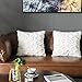 LANANAS Decorative Square Throw Pillow Covers Set Super Soft Luxury Faux Fur Pillow Case Cover for Sofa Living Room 18 x 18 Inch Pack of 2 (18