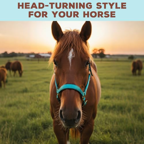 Image of Leather Halter for Horses, Equine Breakaway Nylon Rope Horse Halter with Snap & Adjustable Chin and Throat Snap Hook Halters for Training, Show and Daily Use, Average Size
