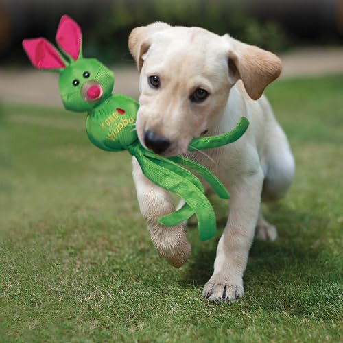 KONG – Wubba Friends Ballistic – Zerrspielzeug aus Nylon (verschiedene Figuren) – Für Sehr Große Hunde