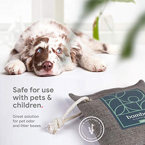 Bamboo Charcoal Air Purifying Bag 4-Pack – Naturally Freshen Air With Powerful Activated Charcoal Bags Odor Absorber – Kid And Pet-Friendly Air Fresheners For Home Or Car By House Edition, 4X200G #TOP1