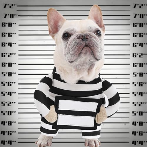 Disfraz cómodo de prisionero para perro pequeño talla L miniatura 3