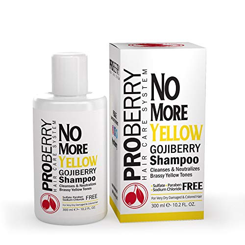 Goji Berry No Yellow Purple Toning Shampoo: Brighten Blonde, Silver & Highlighted Hair - Violet Shampoo Instantly Clean & Neutralize Brassy Yellow Tones - Sulfate, Paraben & Sodium Chloride Free - 10.2 OZ
