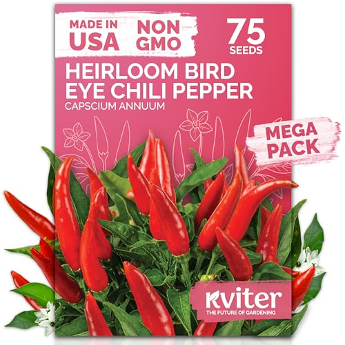 KVITER 75 Birds Eye Chili Pepper Seeds for Planting (Capsicum Annuum) — Thai Chili Red Pepper, Extra‑Hot 50K-100K SHU, High‑Yield Bush — Heirloom & Organic Vegetable Seeds for Outdoor & Indoor Garden