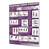 Productive Fitness Poster Series Lower Resistance Tubing Exercises Laminated