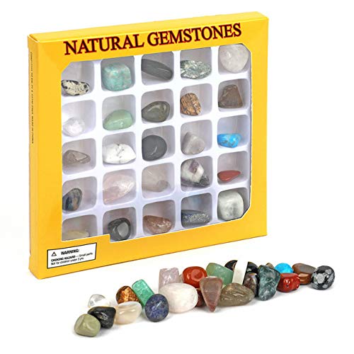 LUYAO Gemstone Rock Collection Kit for Kids Geology Science Learning (Pack of 20pcs)