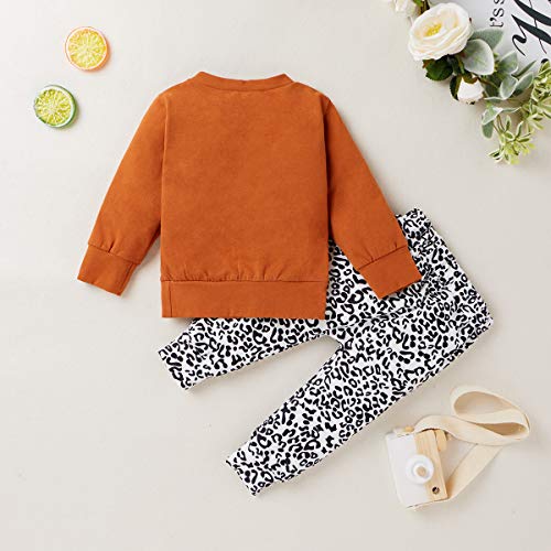 Sasaerucure Infant Baby Girl Boy Outfit Long Sleeve Rainbow Pullover Tops With Leopard Pants 2Pcs Set Winter Spring Clothes (Brown, 0-6 Months) #TOP6