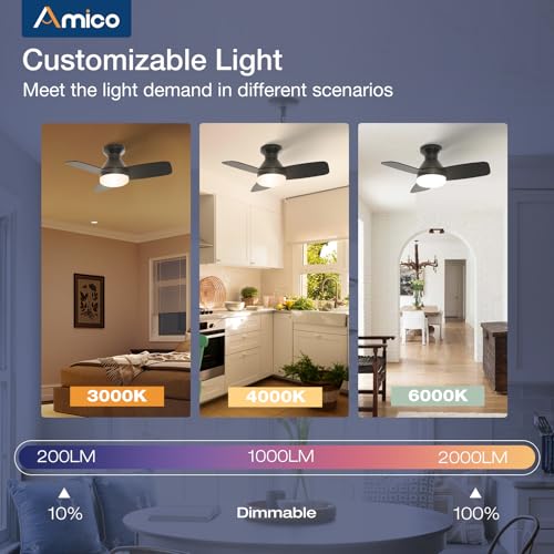 Image of Amico Ceiling Fans with Lights, 30 inch Low Profile Ceiling fan with Light and Remote Control, Flush Mount, Reversible, 3CCT, Dimmable, Noiseless, Black Ceiling Fan for Bedroom, Indoor /Outdoor Use