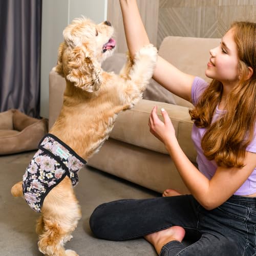 Image of Langsprit Washable Female Dog Diapers (3 Pack) - Doggie Reusable Small Medium Large Dog Diapers for Doggy Puppy Female in Period - Highly Absorbent Dog Heat Panties (Rosa Chinensis, Small)