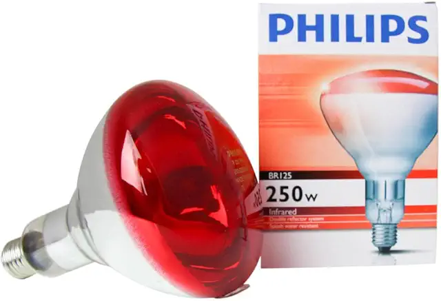 Lámpara Infrarroja Philips R125 250W E27 Rojo Terapéutica para Granjas y Cocinas