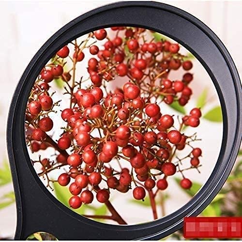 Lupas educativas para Pasatiempos, Lupa de Mano, Lupa de iluminación para Ver Animales y Plantas, Lupa de Espejo Grande de 130 mm con lámpara LED/UV charitable