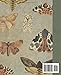 Composition Notebook: Beautiful Vintage Moths Illustration Book For Notes. For Animals and Nature Lovers