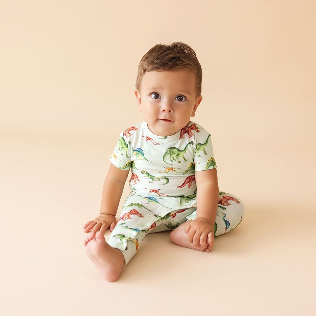 Posh Peanut Baby Romper with Snap Closure - Henley Short Sleeve Baby Boy Outfits - Soft Viscose Baby Pajamas Made from Bamboo