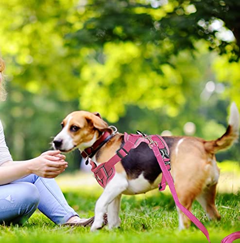Peitoral para animais de estimação – Peitoral e coleira ajustável para cães – Acessórios refletivos