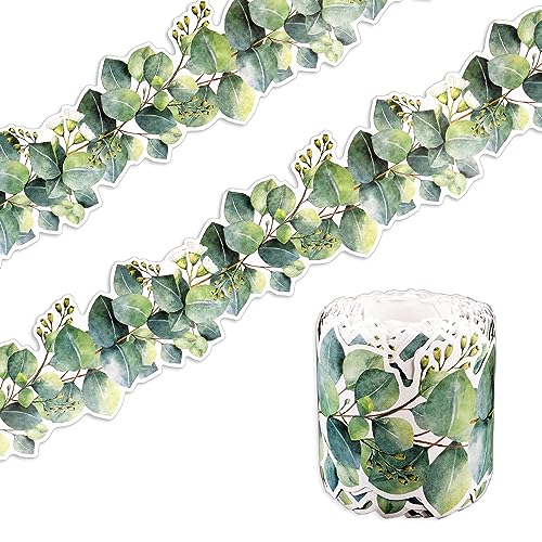 Bordure decoration classe eucalyptus pour tableau d'affichage école et tableau noir