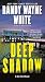 Deep Shadow (A Doc Ford Novel Book 17)