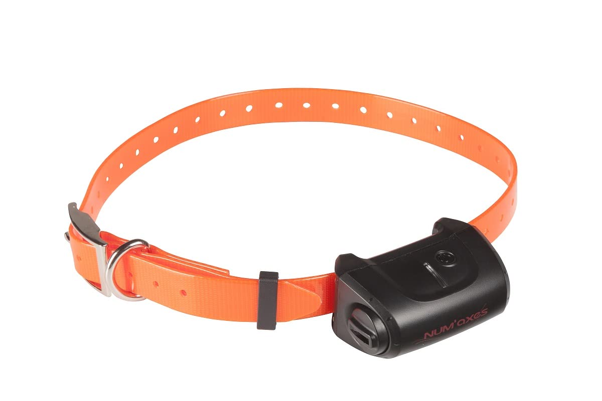 NUM'AXES Ensemble D’ÉDUCATION Pack CANICOM 5.1500 pour 2 Chiens