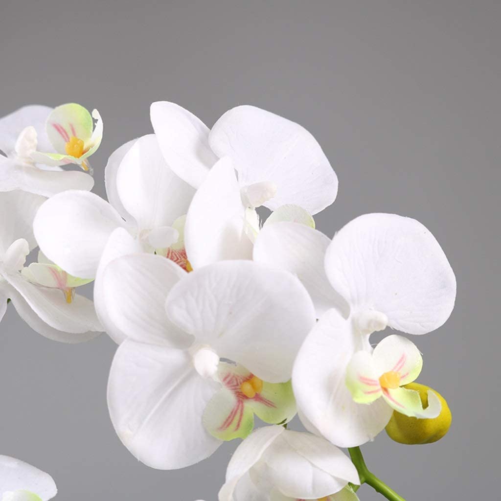 Phalaenopsis Künstliche Blume mit Keramikvase, Seiden-Gefälschte Blume für Zuhause, Hotel, Wohnzimmer, Eingangsdekoration, Kunststoff-Blumen-Mittelstück, Heimdekoration