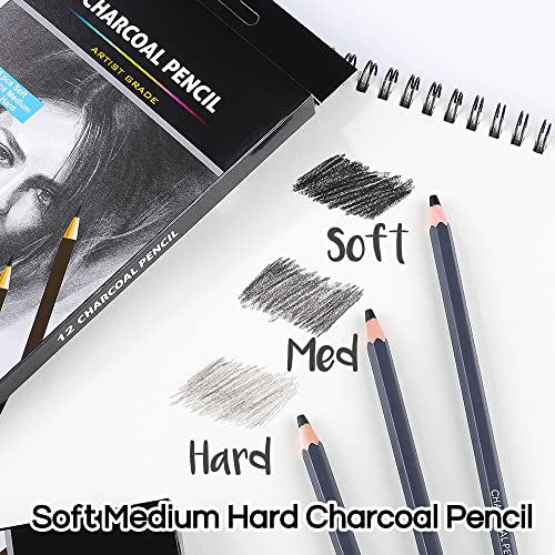 Dyvicl Professional Charcoal Pencils Drawing Set - 12 Pieces Soft, Medium & Hard Charcoal Pencils For Drawing, Sketching, Shading, Artist Pencils For Beginners & Artists #TOP2