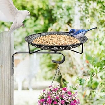 best fence mounted birdhouses that will transform your outdoor space 2 best fence mounted birdhouses