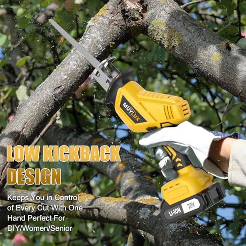 Cordless Reciprocating Saw with 2 Batteries