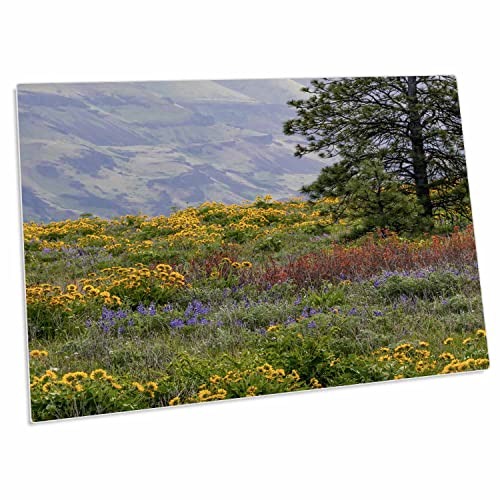 3dRose Oregon Tom McCall Nature Conservancy Desk Pad