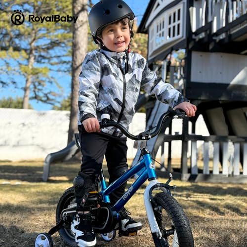 Image of RoyalBaby Bicycle for Kids Cycle for 3-5 Years Boys & Girls 12 Inch | Training Wheels | Adjustable Seat | 1 Year Warranty | Blue