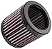 K&N Engine Air Filter: High Performance, Premium, Powersport Air Filter: Fits 1990 KAWASAKI (ZXR400) KA-4010